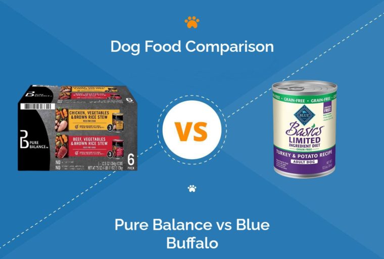 5 Types of Dog Food & Their Differences (with Pictures) Hepper