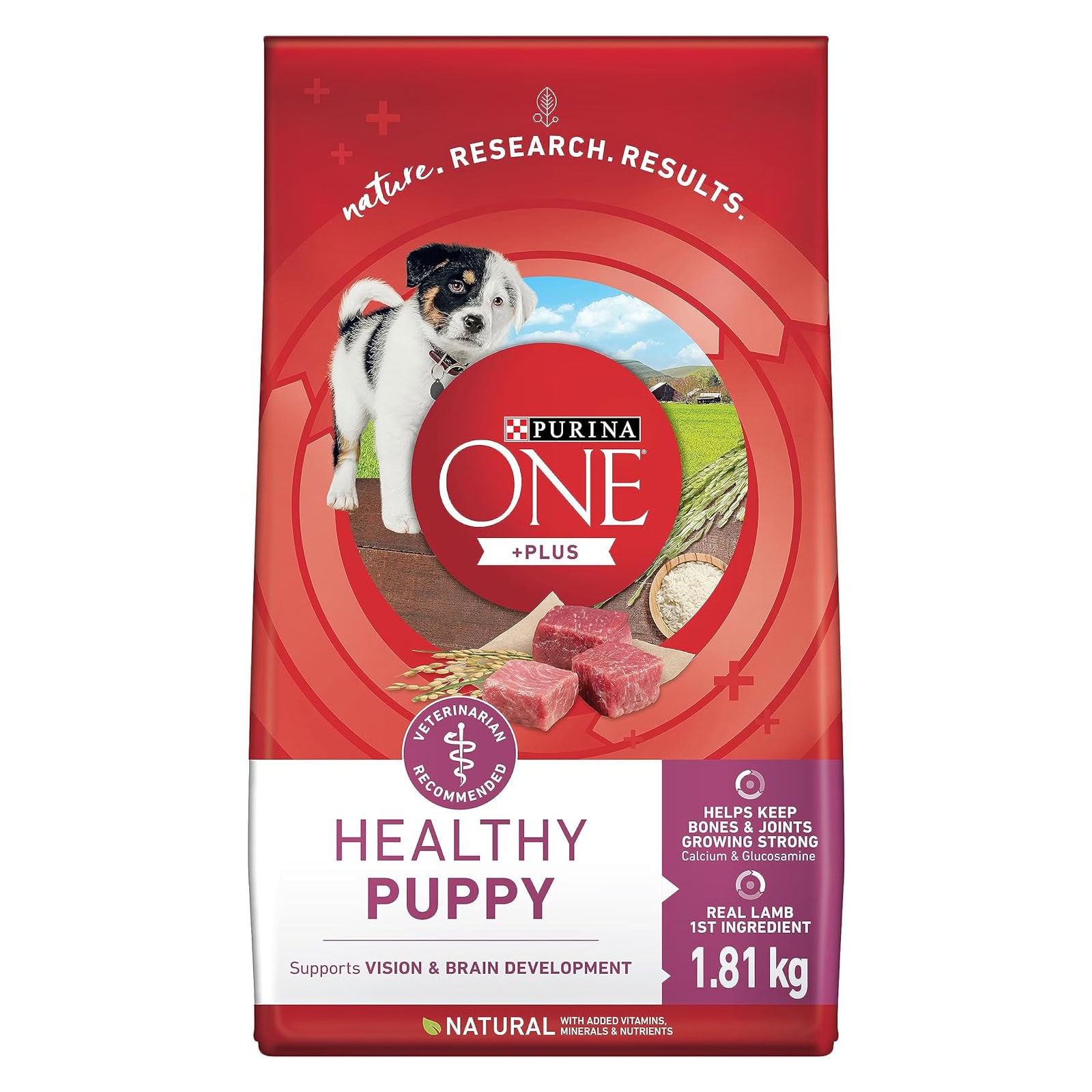 Purina ONE Smartblend Dry Puppy Food
