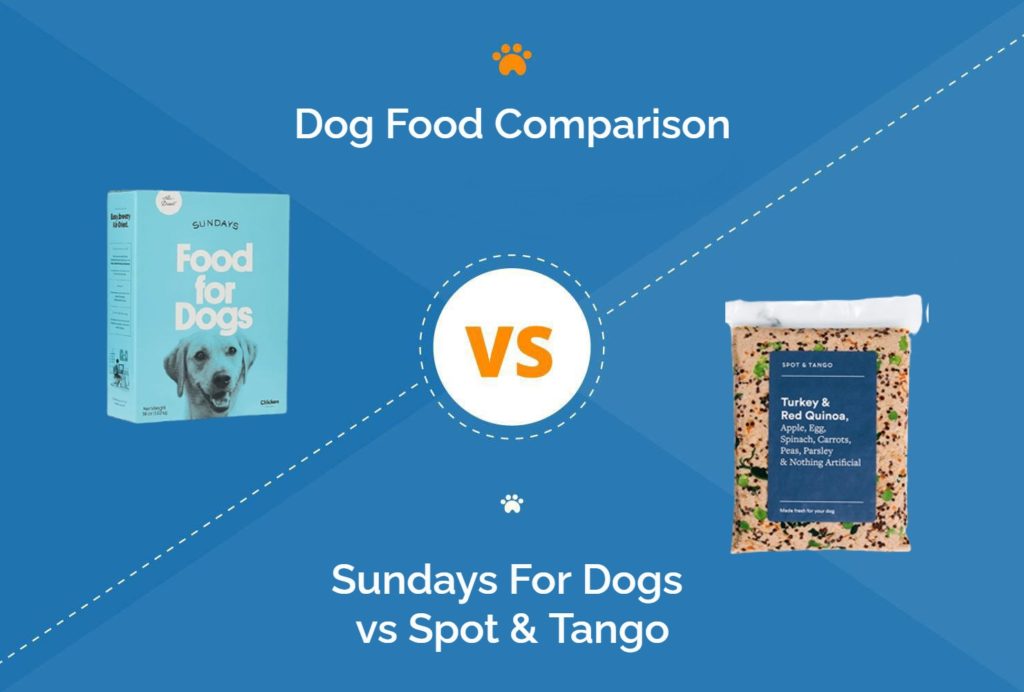 Sundays vs Spot & Tango Dog Food 2022 Comparison Hepper