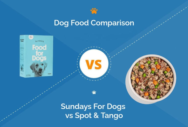 Sundays vs Spot & Tango Dog Food 2023 Comparison Hepper