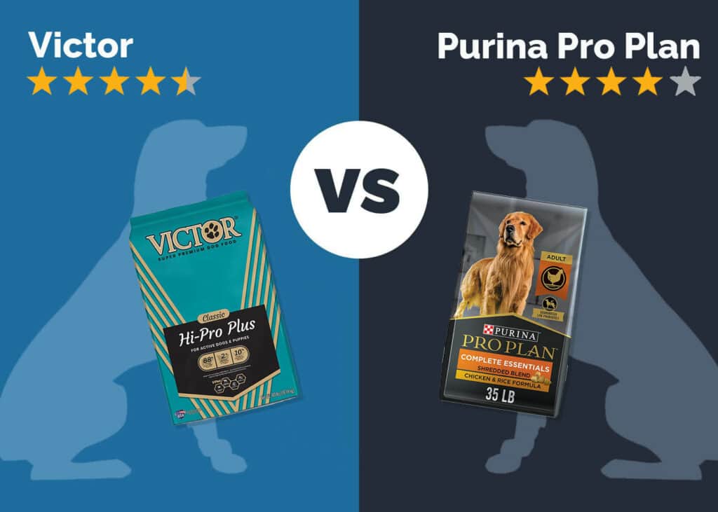 Victor vs Purina Pro Plan