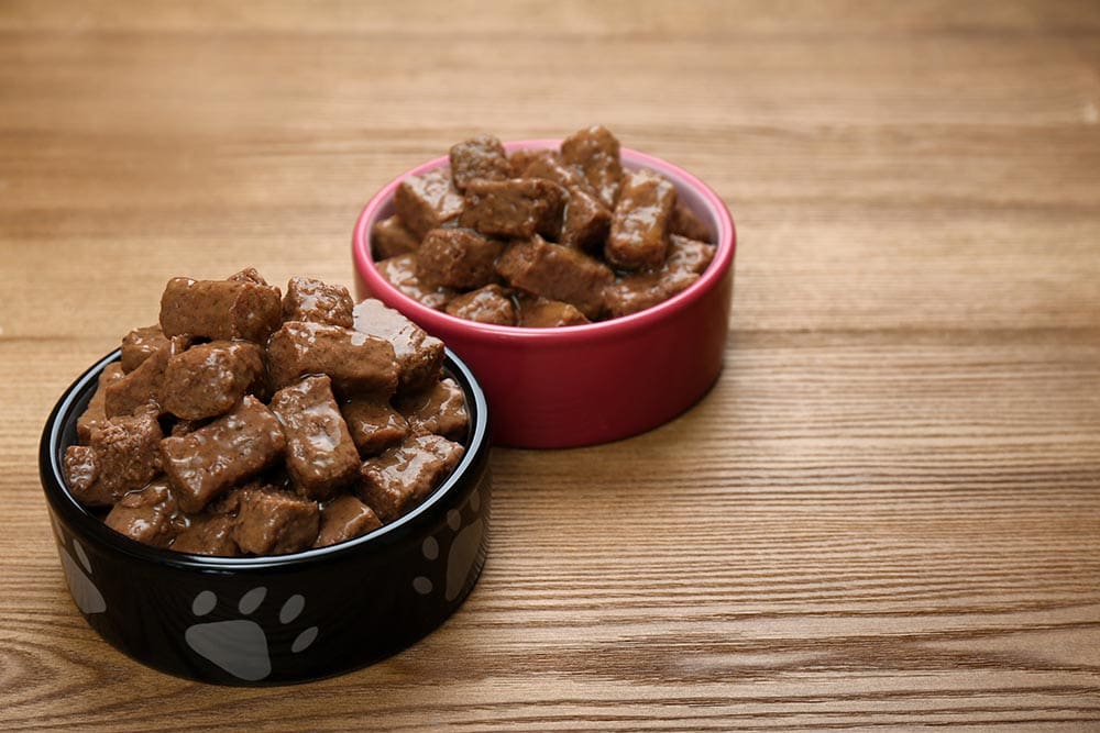 Wet dog food in feeding bowls