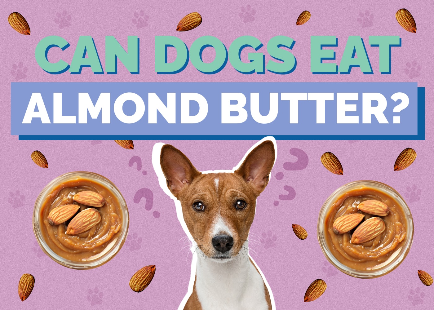 Can Dog Eat almond-butter