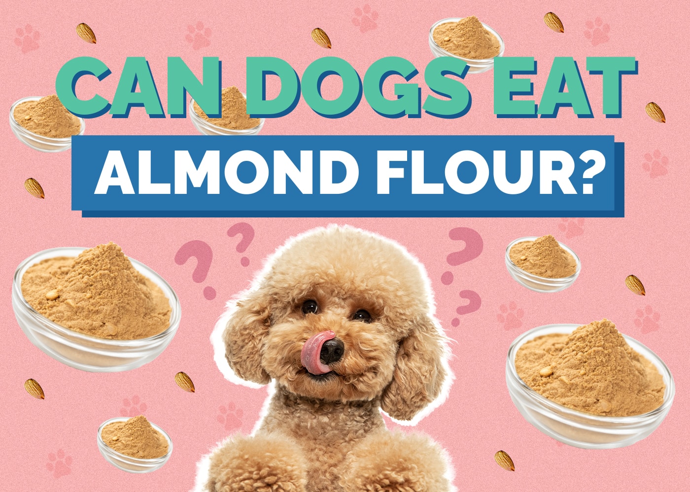Can Dog Eat almond-flour