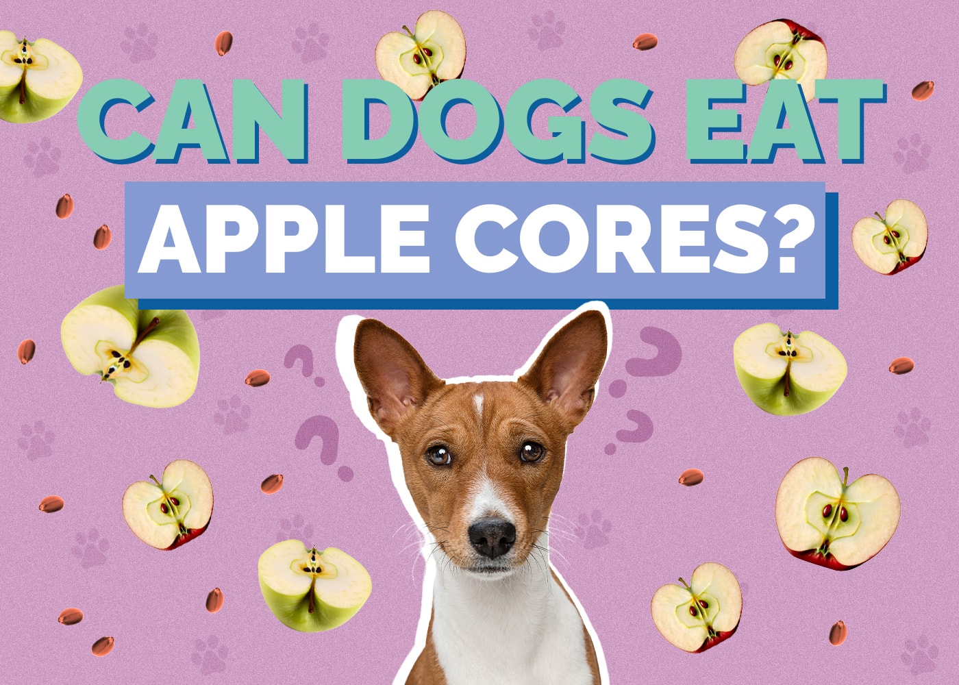 Can Dog Eat apple-core