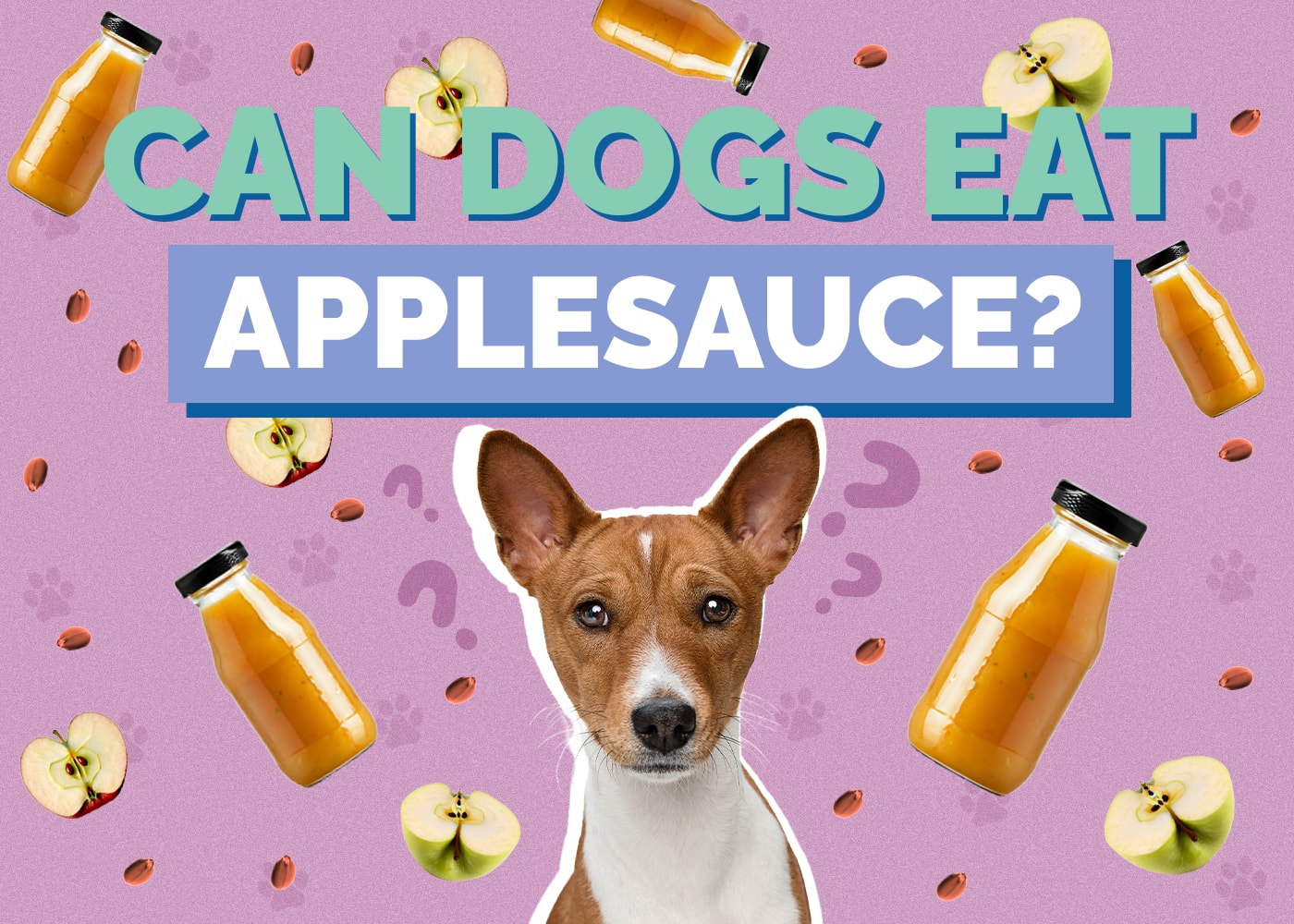 Can Dog Eat applesauce
