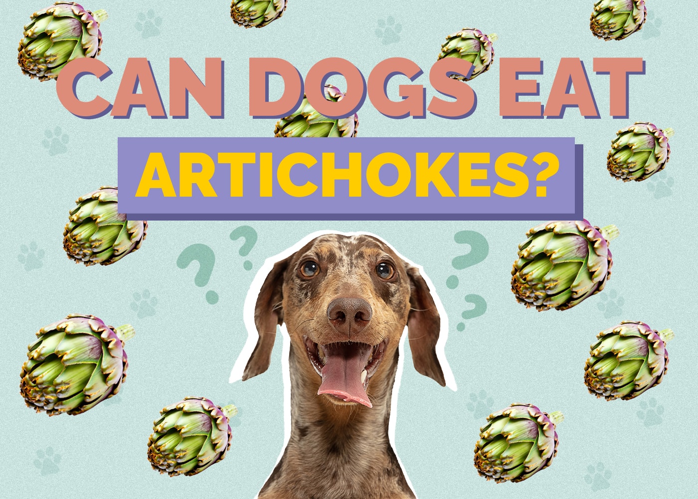 Can Dog Eat artichokes