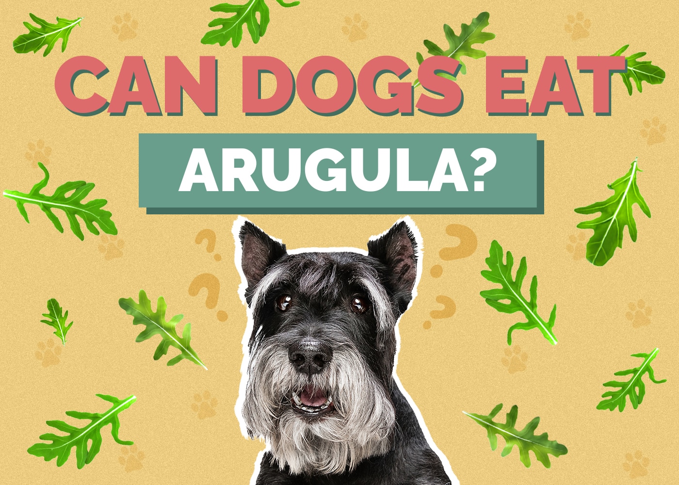 Can Dog Eat arugula