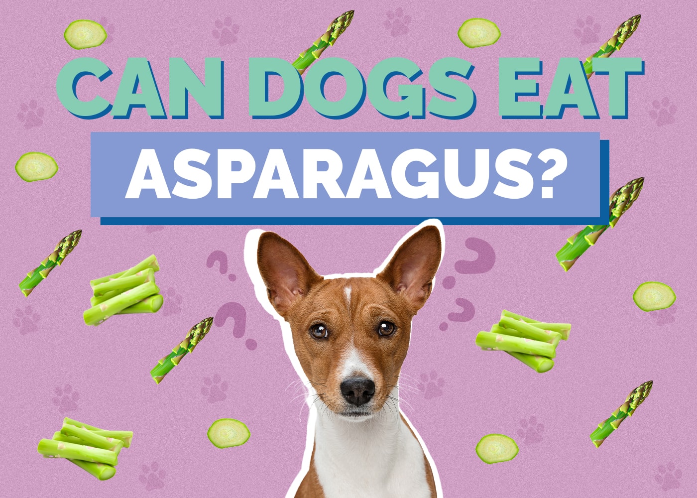 Can Dog Eat asparagus