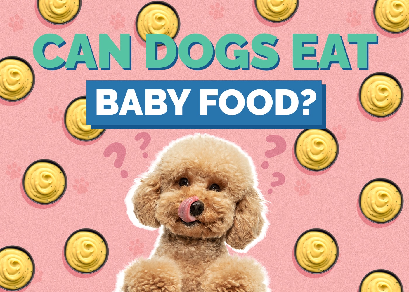 Can Dog Eat baby-food