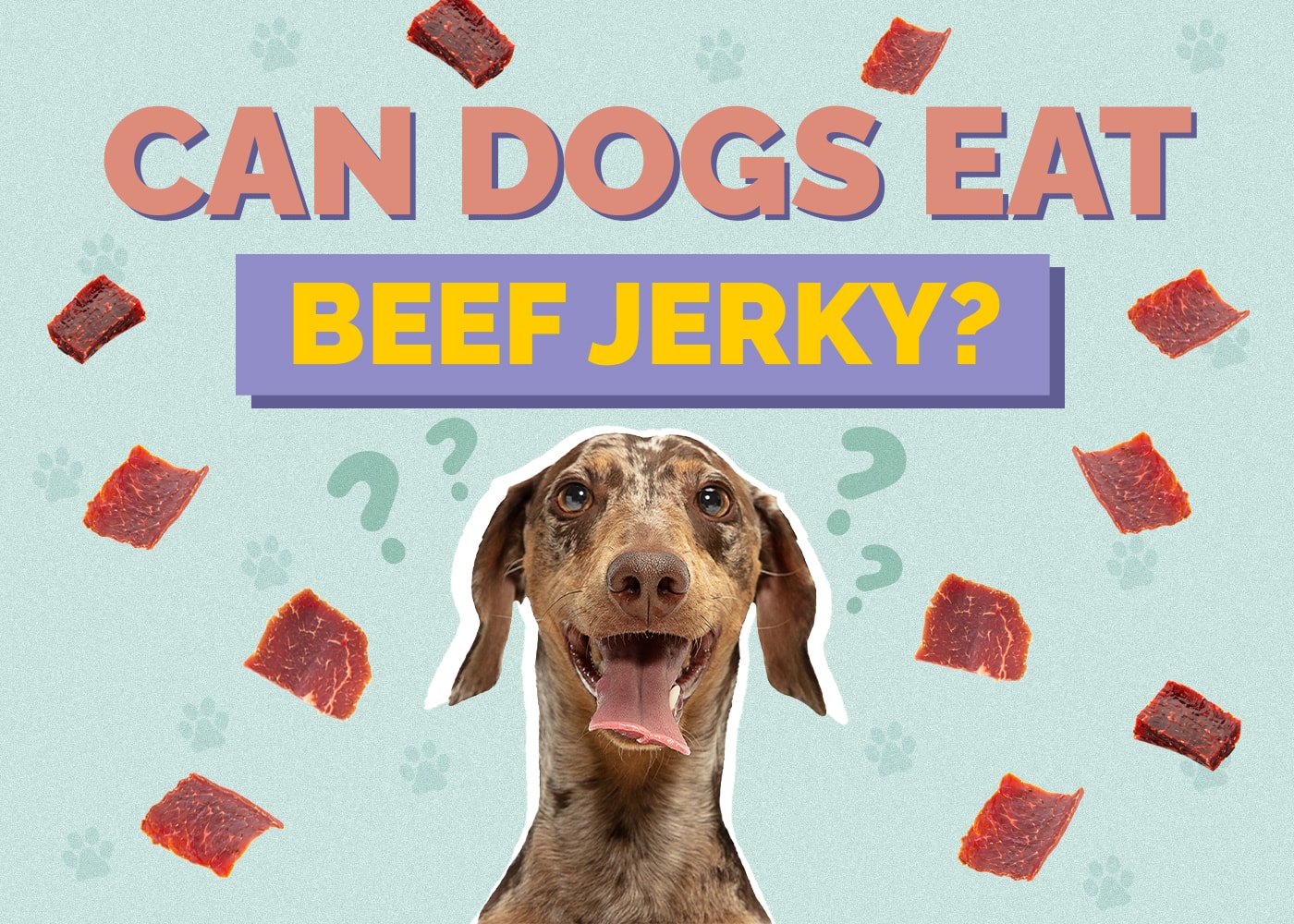 Can Dog Eat beef-jerky
