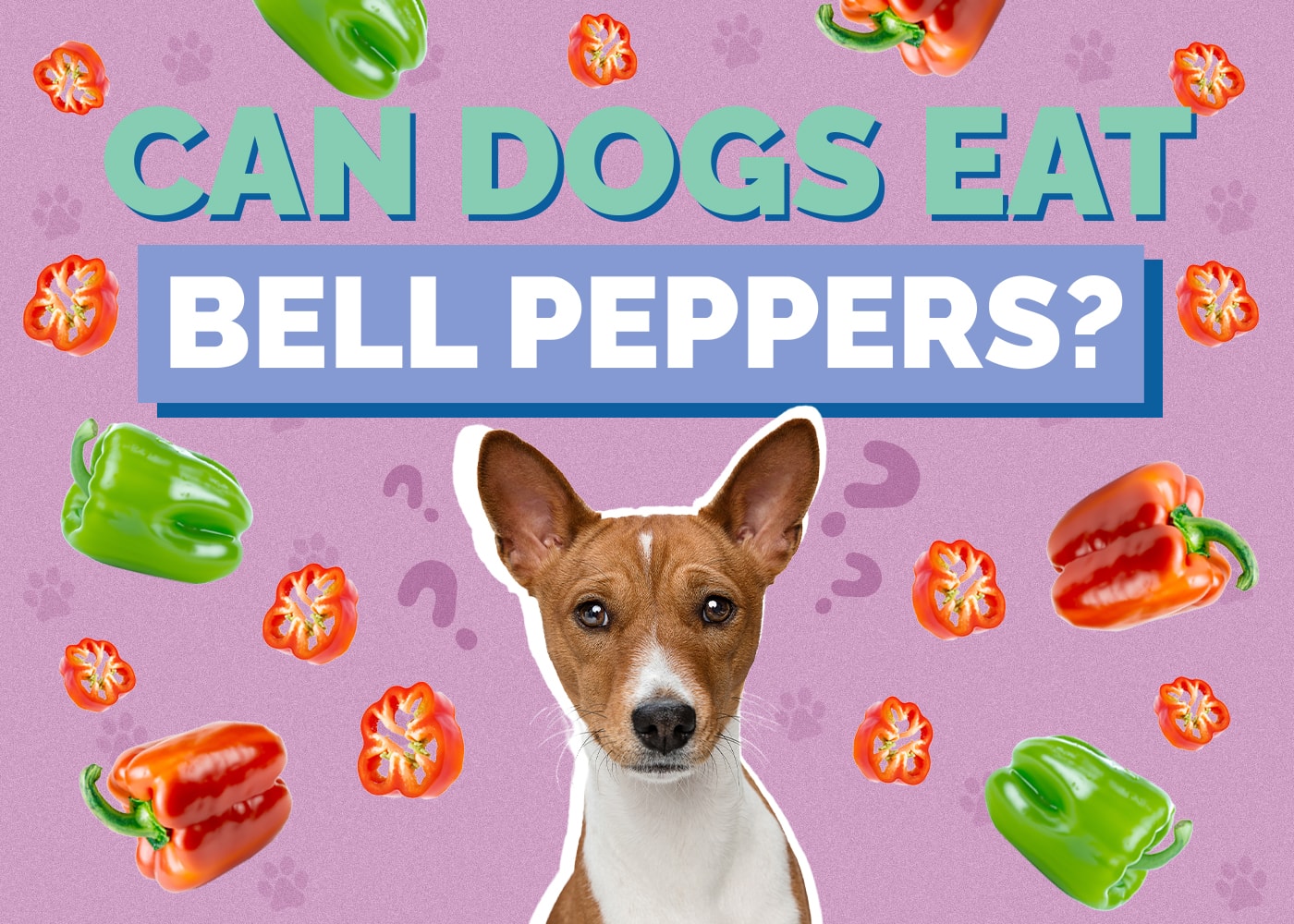 Can Dog Eat bell-pepper