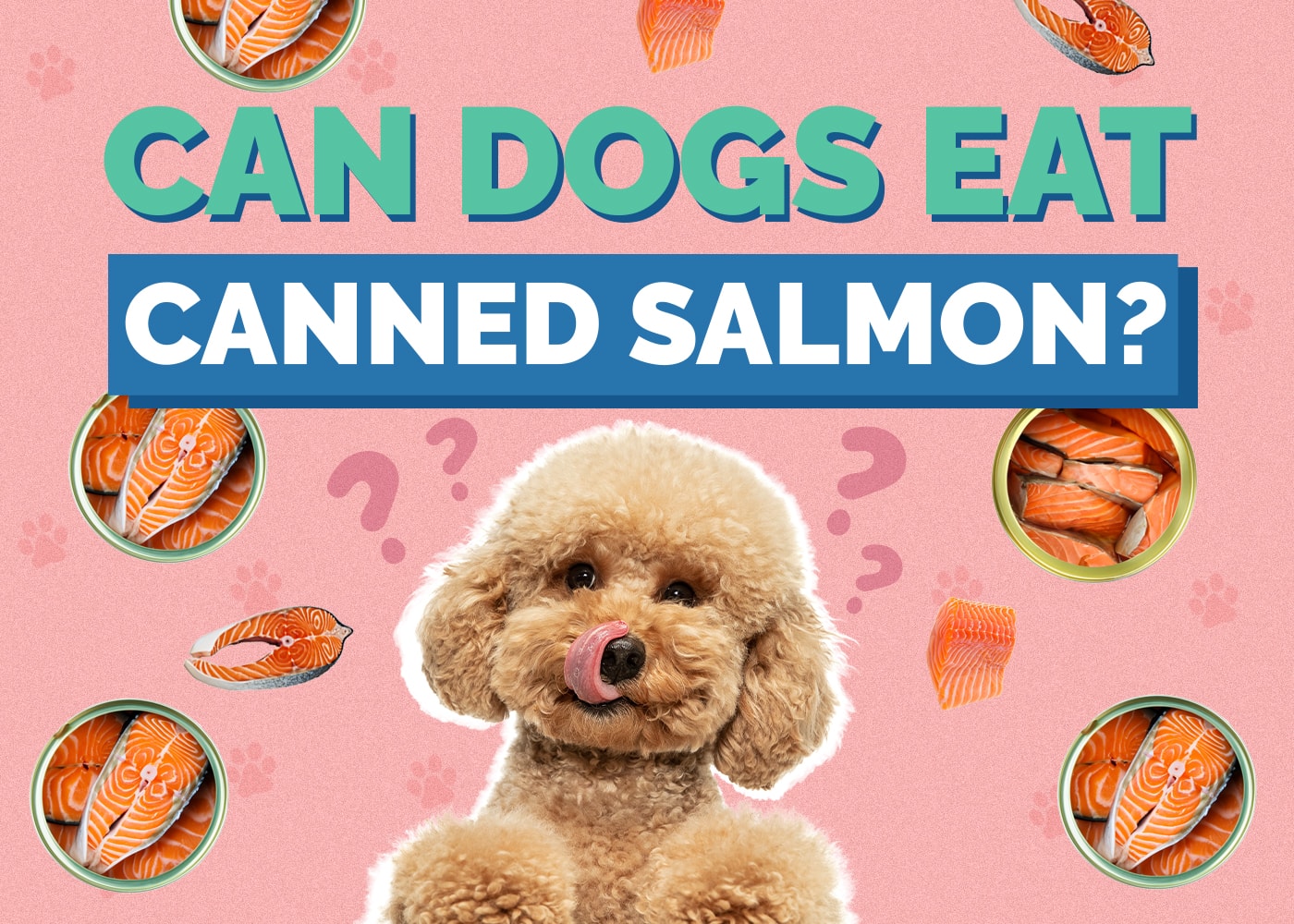 Can Dog Eat canned-salmon