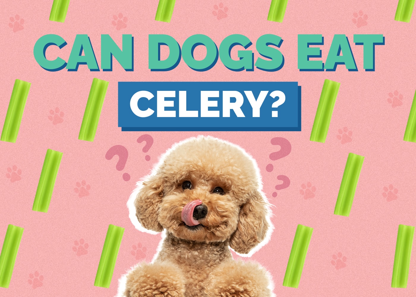 Can Dog Eat celery