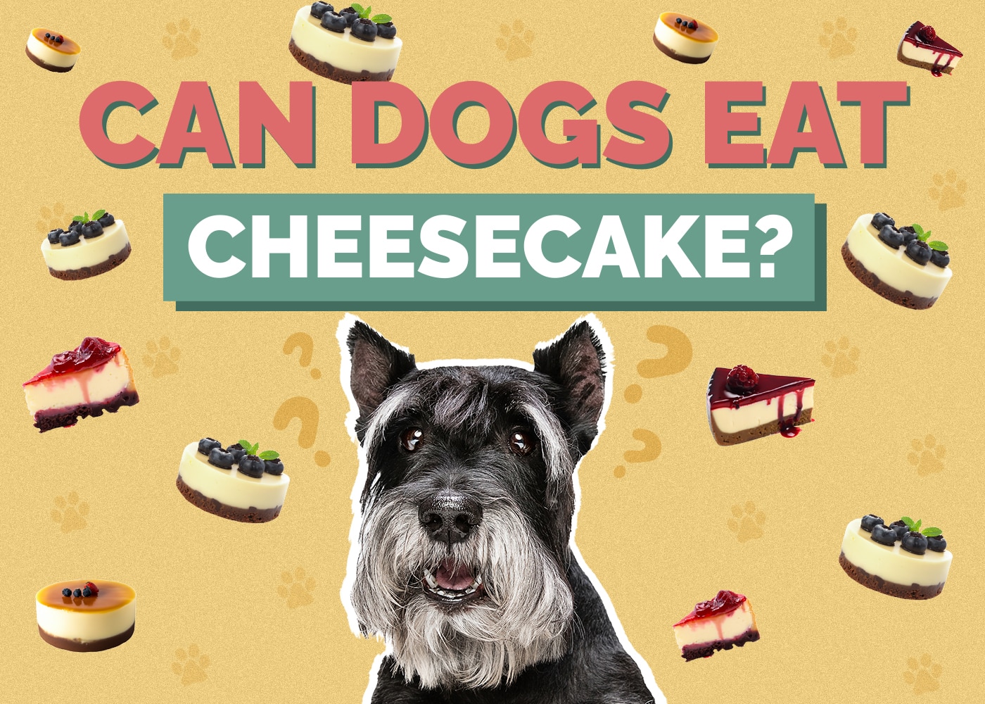 Can Dogs Eat Horseradish Vet Reviewed Health Risks FAQs Hepper