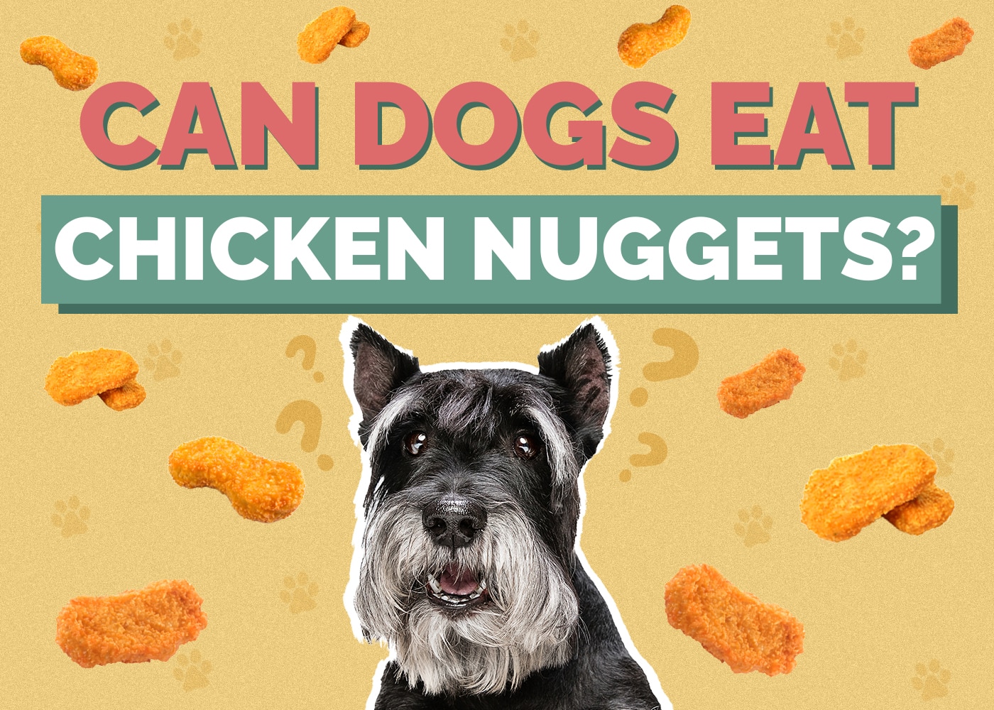 Can Dog Eat chicken-nuggets