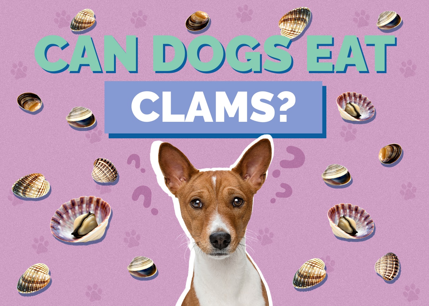 Can Dog Eat clams