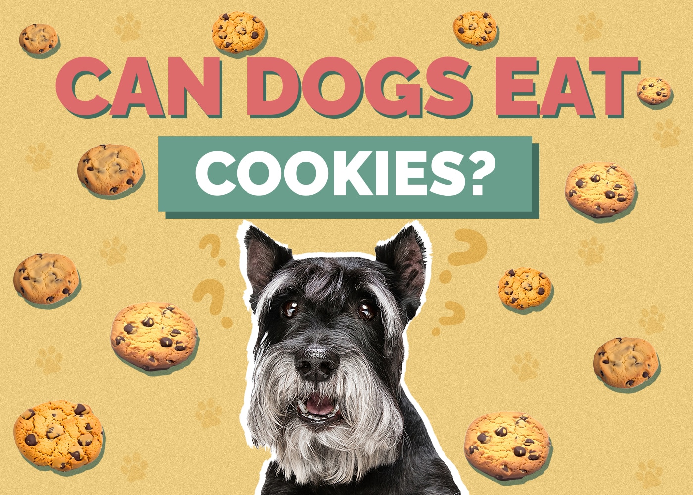 Can Dog Eat cookies