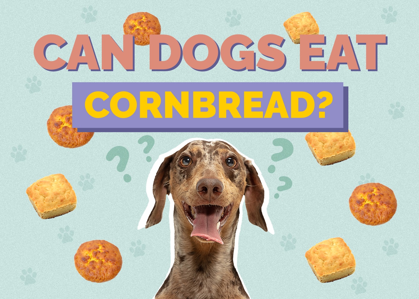 Can Dog Eat cornbread