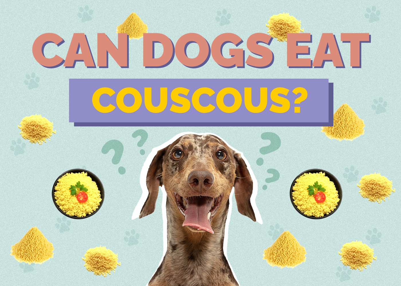 Can Dog Eat couscous
