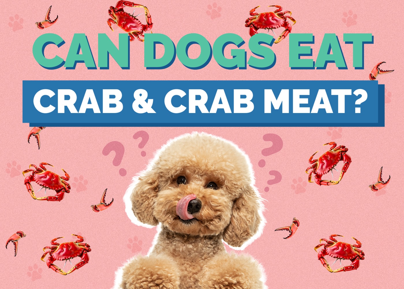 Can Dog Eat crab