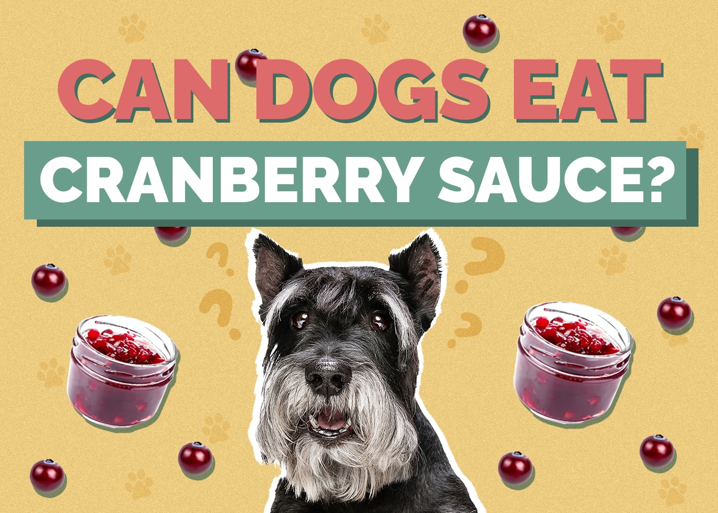 Can Dog Eat cranberry-sauce
