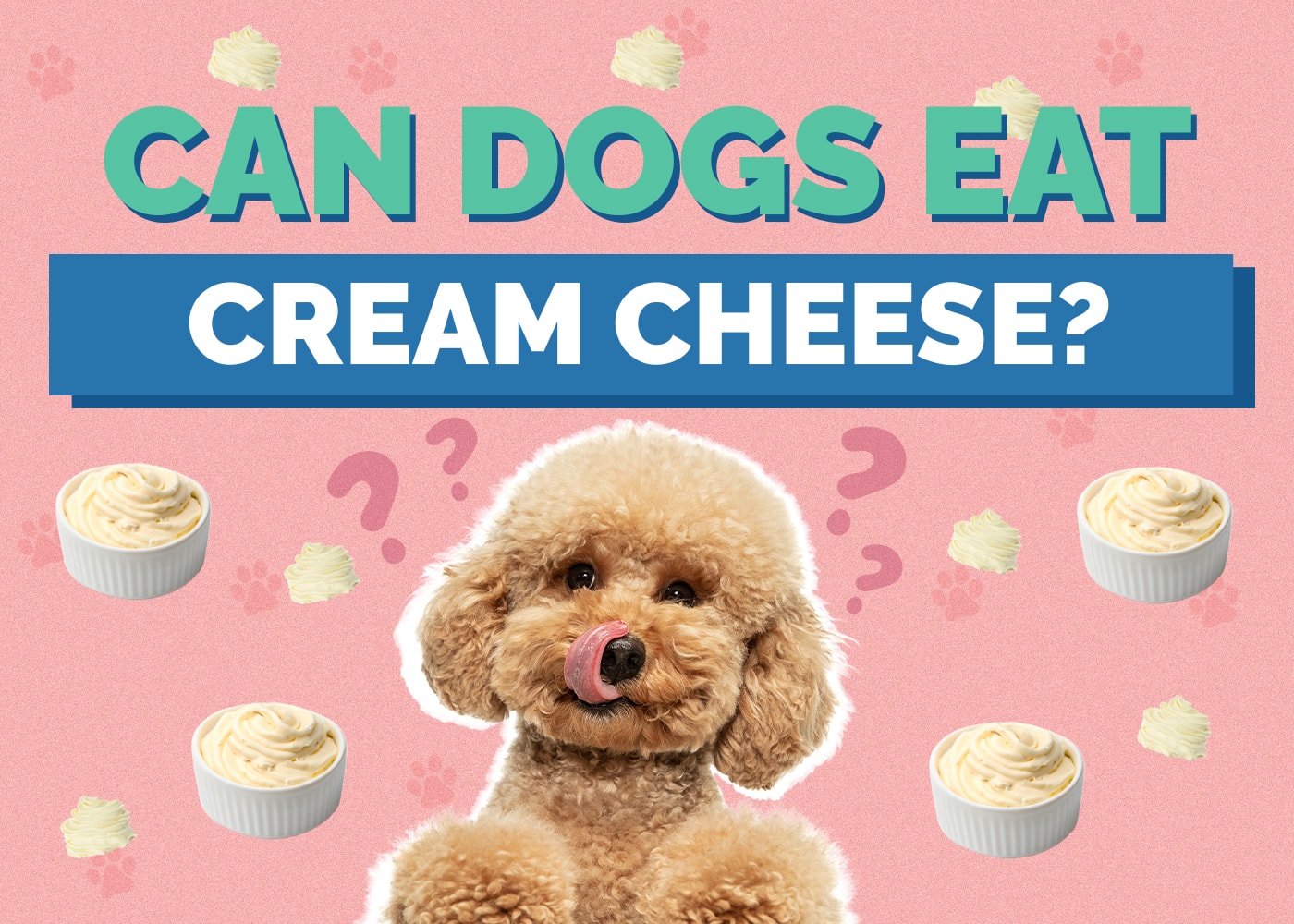 Can Dog Eat cream-cheese