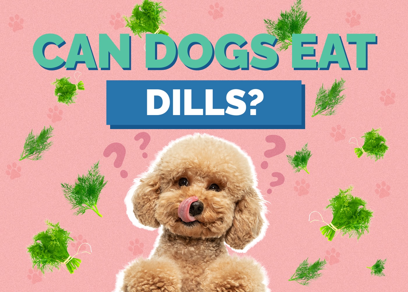Can Dog Eat dills