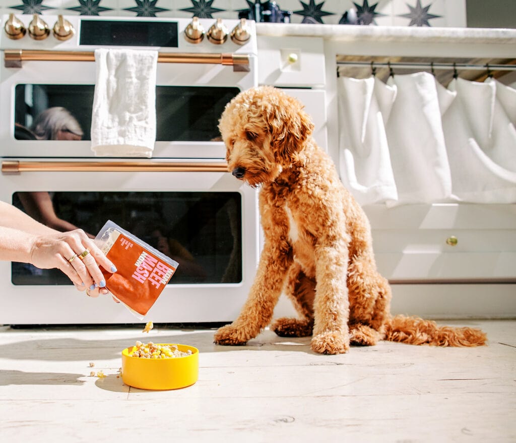 How Much is Nom Nom Dog Food? What You Need To Know Hepper