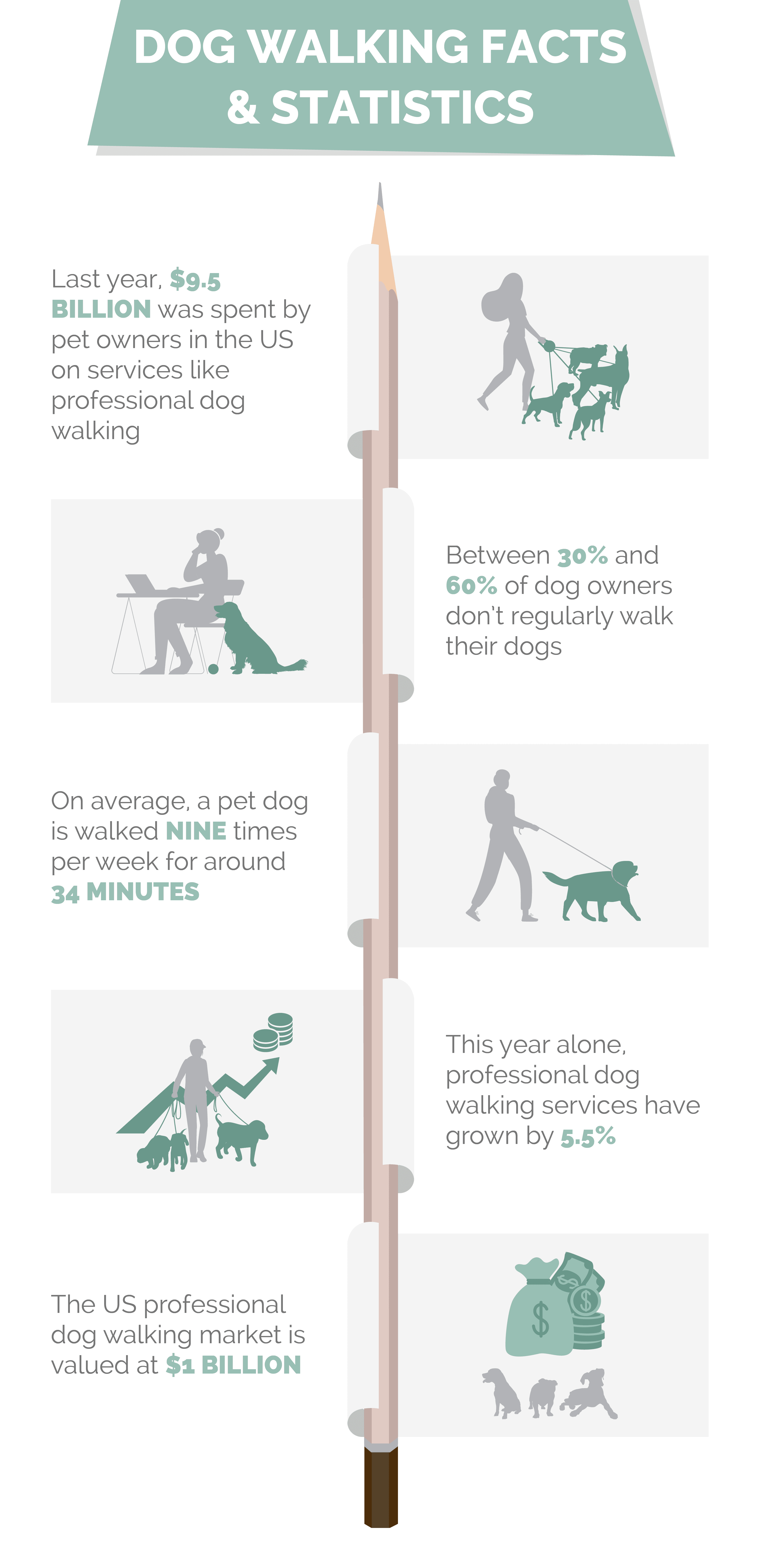 dog_walking_facts_and_statistics