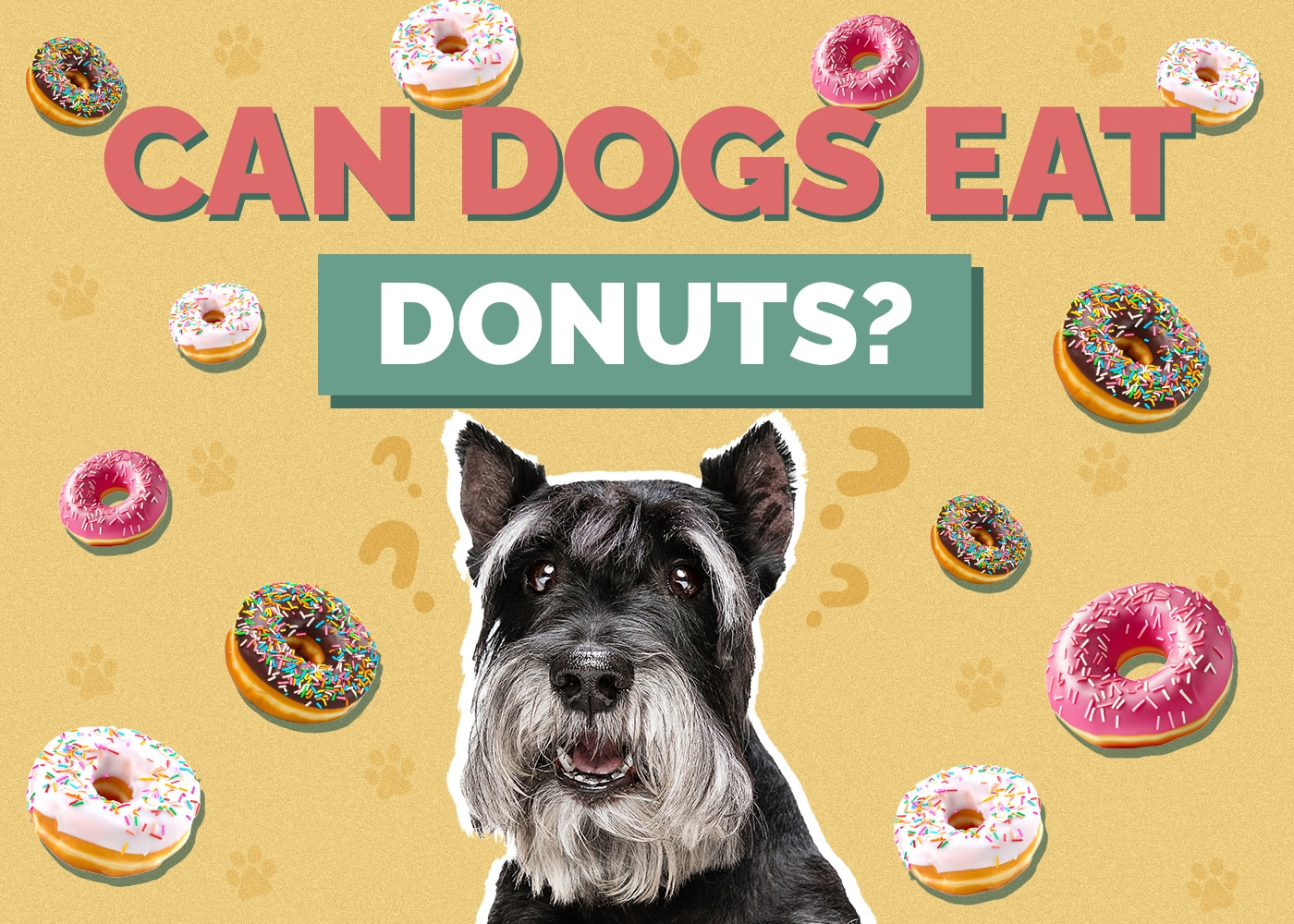 Can Dog Eat donuts