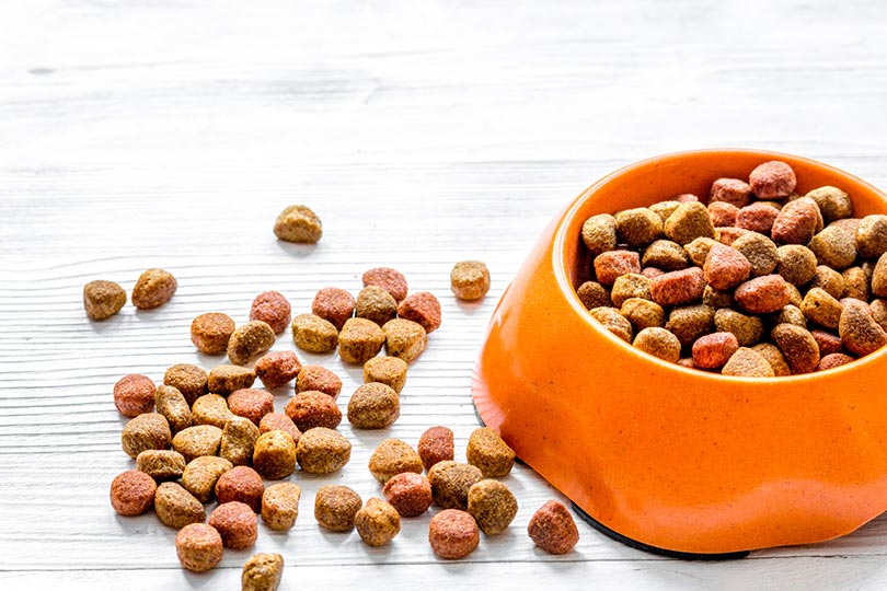 dry dog food in bowl and on wooden table