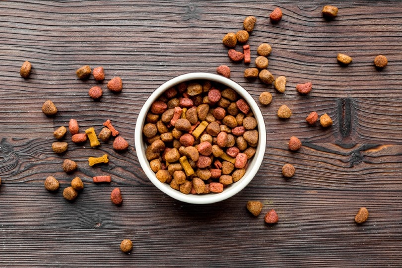 Dry dog food in a bowl