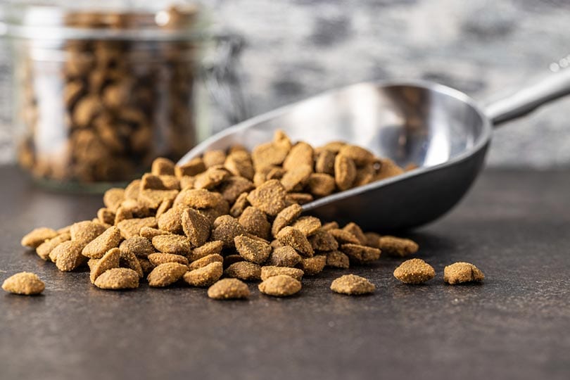 Is Dry Dog Food Bad for My Dog? What You Need To Know! 4 dry dog food