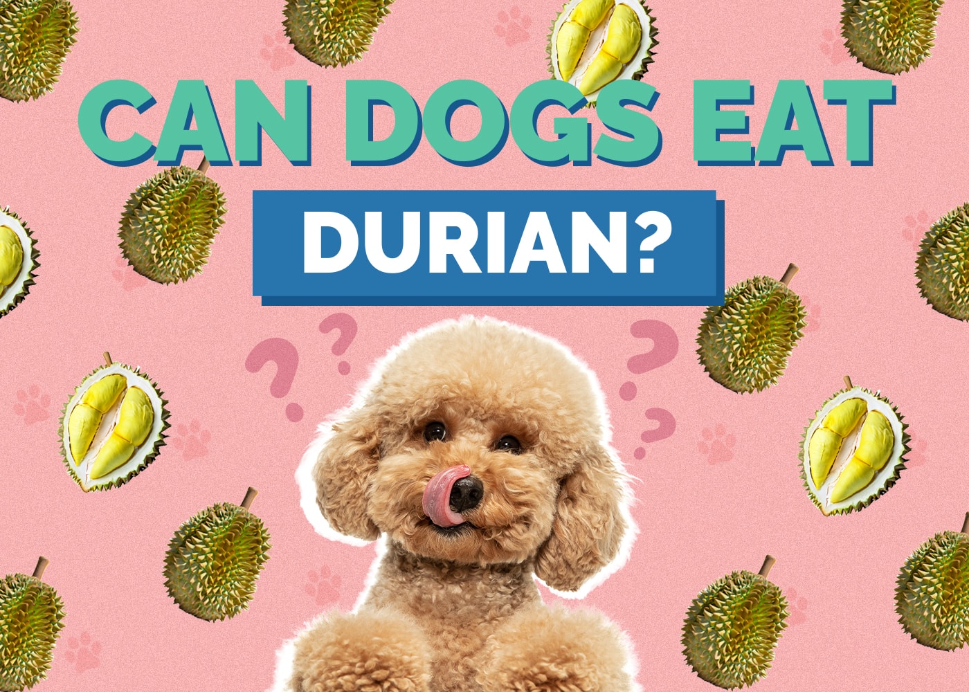 Can Dog Eat durian