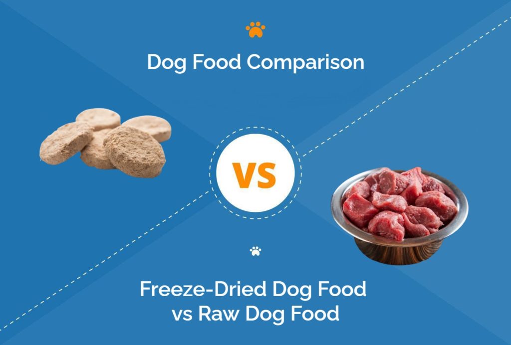 freeze-dried dog food vs raw dog food - hep ft