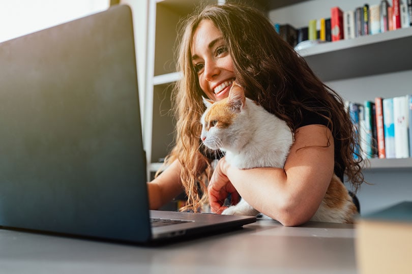 người phụ nữ da trắng trẻ hạnh phúc với con mèo của mình sử dụng máy tính xách tay ở nhà