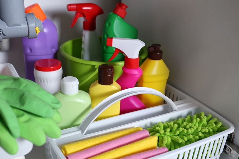 mở dưới tủ bồn rửa với các vật dụng làm sạch khác nhau trong nhà bếp