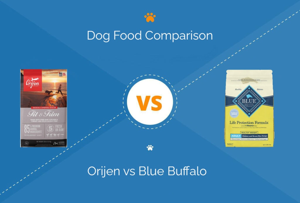 Orijen Dog Food vs. Blue Buffalo What Should I Choose? Hepper