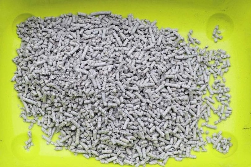 paper-cat-litter_douglas-cliff_shutterstock