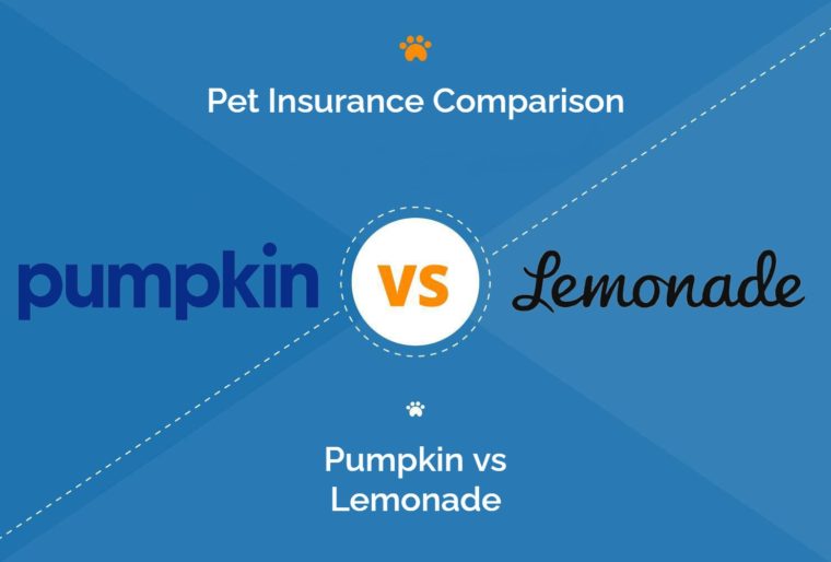 Lemonade Pet Insurance Review 2022 Pros, Cons & Verdict Hepper