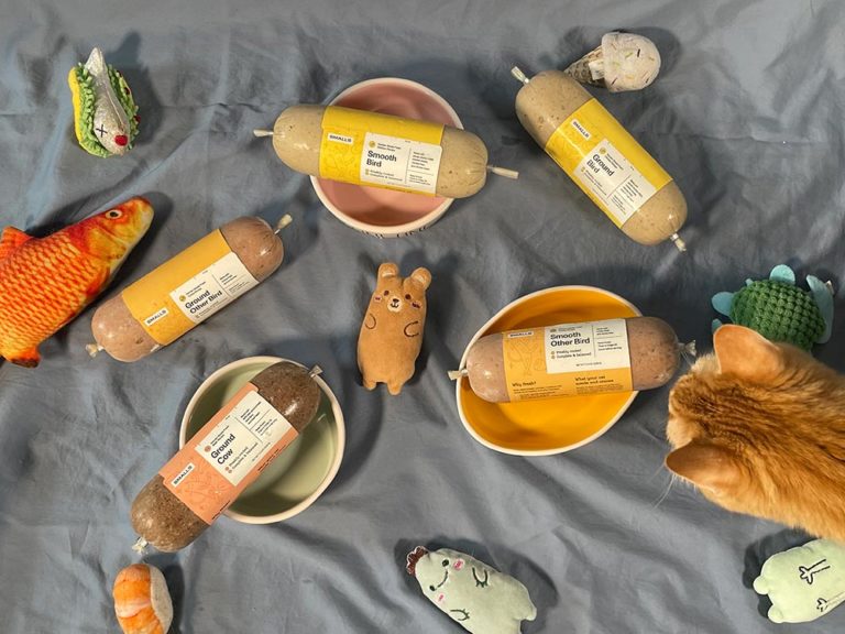 10 Best Natural & Organic Cat Foods 2024 Reviews & Top Picks Hepper