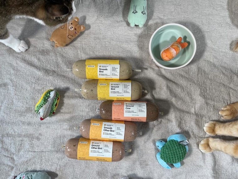 10 Best Wet Cat Foods (Soft & Canned) 2023 Reviews and Top Picks Hepper