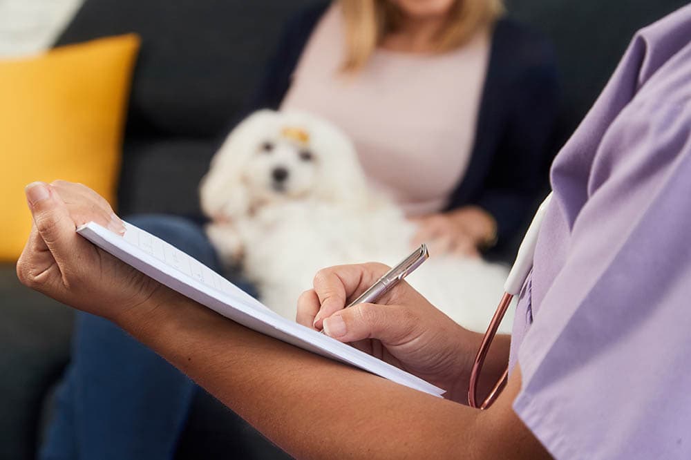 vet writing down prescription