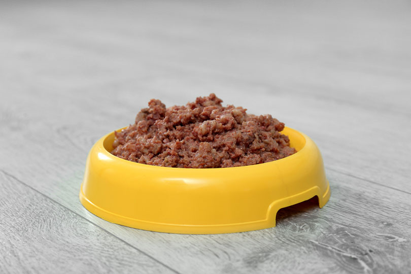wet dog food in a yellow bowl