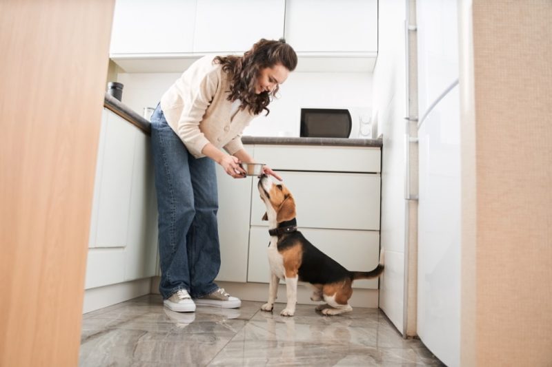 woman feeding her dog