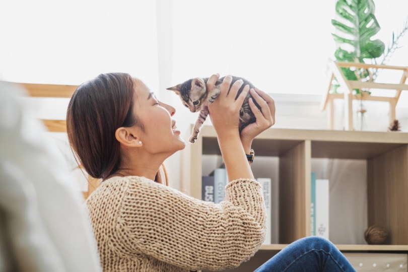 woman holding cute kitten