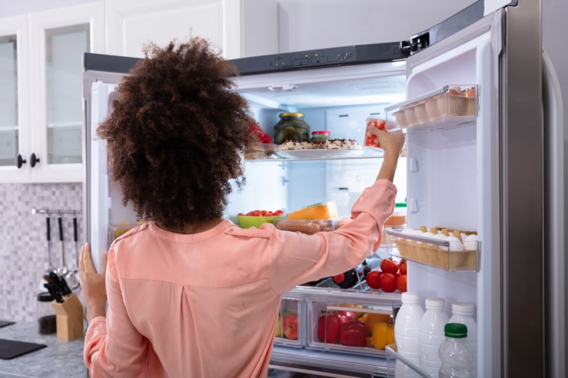 woman storing food in the refregirator
