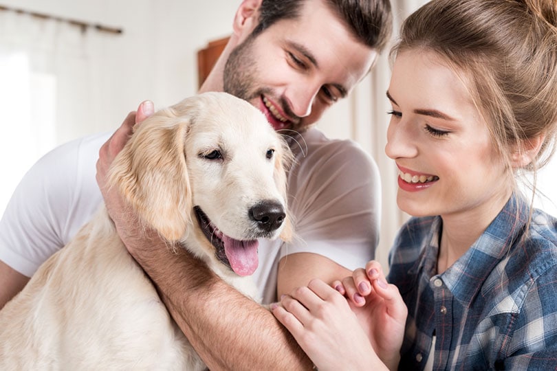 young happy couple holding and hugging golden retriever puppy