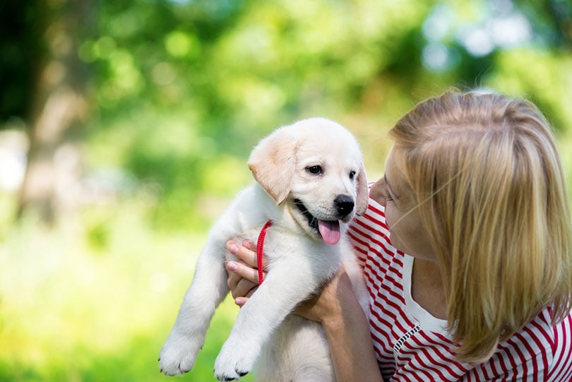 young woman holding a white labrador retriever puppy
